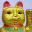 member SnapCat